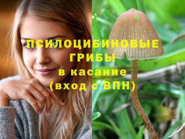 мяу мяу мука Богданович
