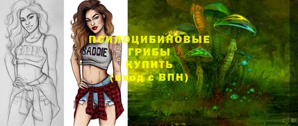 мяу мяу мука Богданович