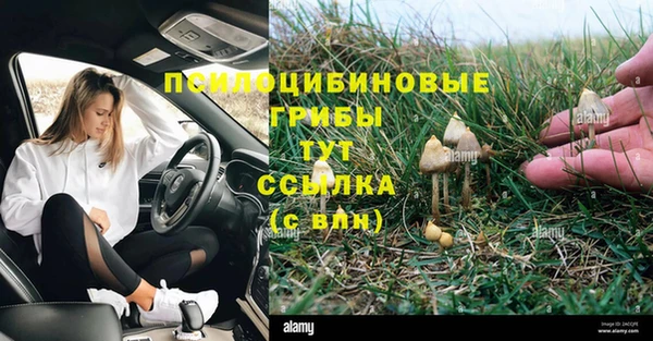 Альфа ПВП Богородицк