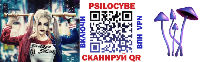 Галлюциногенные грибы Cubensis  Бологое 